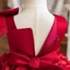 Tutu Dress