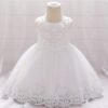 lace wedding dress
