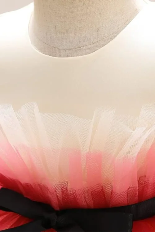 Party Dress
