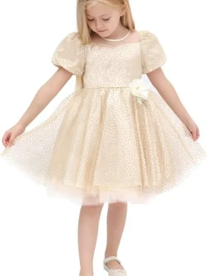 party dress