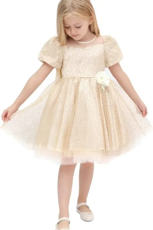 party dress