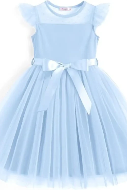 blue princess dress